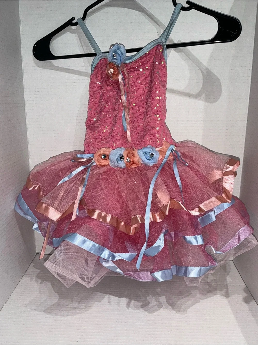 Weissman Pink Tulle Dance Dress with Blue Trim and Floral Accents Child Small